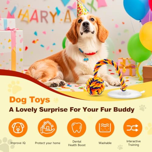 Interactive Dog Toy for Tug of War with Rope Ball for Small Dogs,Orange