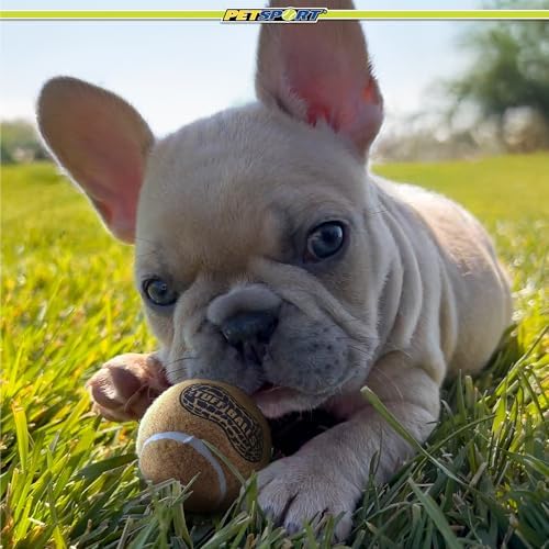 PetSport Junior Peanut Butter Tuff Ball Dog Toys | 6 Pack Jr. (1.8") Pet Safe Felt & Durable Rubber Tennis Balls | Play Fetch, Chuck or Toss at Dog Park