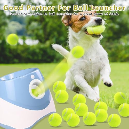 Magicorange Small Tennis Balls, 20 Pack 2 inch Tennis Balls for Dogs