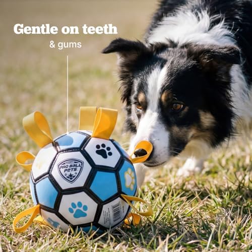 Interactive Dog Soccer Ball for Dogs, 6” with Straps & Grab Tabs, Floats on Water, Fetch & Training Toy for Small/Medium Dogs, Herding Breeds, Waterproof Non-Toxic – ProBall Pets – Blue Yellow