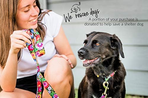 Lucky Love Dog Martingale Collar for Small Dogs No Slip – Blackbird, Small