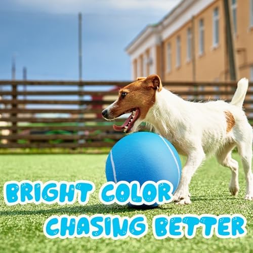 Banfeng Giant Tennis Ball for Dogs, 9.5" Large Outdoor Doy Sport Ball Gift
