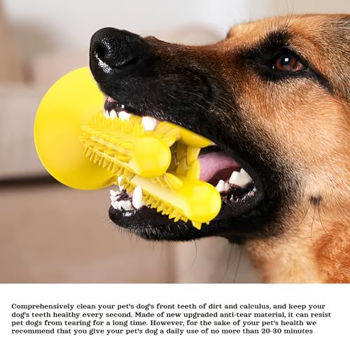 lilaBelle]【Cactus Dog Toy New Dental Stick for Dogs - Teeth Cleaning & Stress Relief Chew with Sound, Treat Dispenser, TPR Safe Material, Sizes Dogs, Home/Park/Garden (Saudi Pets)