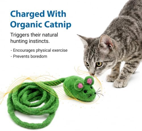 Glaciart One Felt Mouse Cat Toy – Soft Fuzzy Enrichment 100% Natural Wool - Interactive Catnip Play Cat Toy Set - Safe for Pets, Non-AZO Colored Dyes - 100” Long