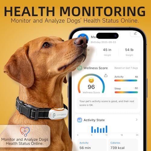DBDD Dog GPS Tracker, AI Tracker Collar with Virtual Fence & Health Monitoring - Real Time Location Tracker for Escape Artists, Electronic Fence Collar for Medium to Large Dogs, iOS and Android
