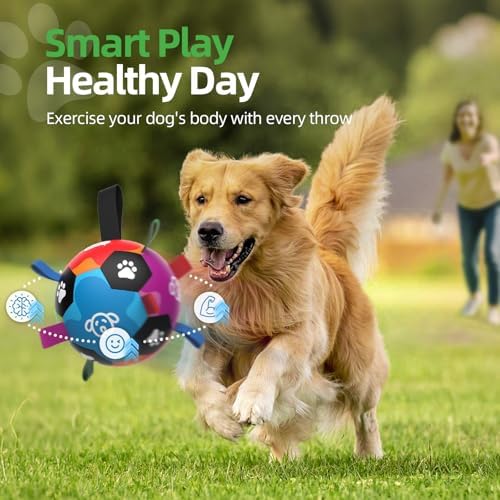 QDAN Dog Toys, Durable Dog Soccer Balls with Straps to Keep Them Busy