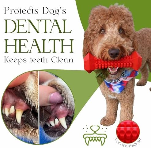 Tough Dog Chew Toys for Aggressive Chewers Indestructible Rubber Toy for Teeth Cleaning Treat Dispenser Chew Bones for Small, Medium Dogs