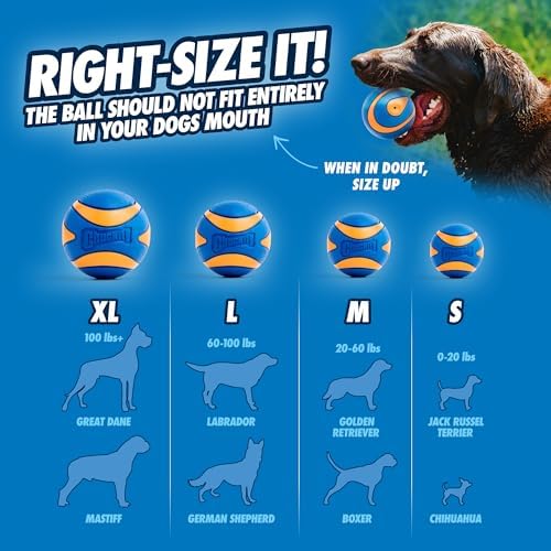 Chuckit! Ultra Squeaker Ball, Floats, XL 3.5in, for Dogs 100+lbs
