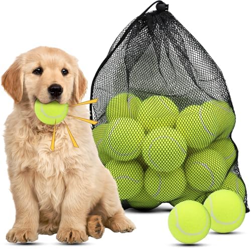 Magicorange Dog Tennis Balls, 20 Pack 2.5 inch Squeaky Tennis Balls