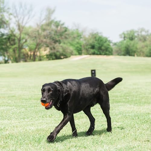 Chuckit! Dog Tennis Ball Dog Toy, Large (3 Inch Diameter) for Dogs 60-100 lbs 2 Count (Pack of 12)