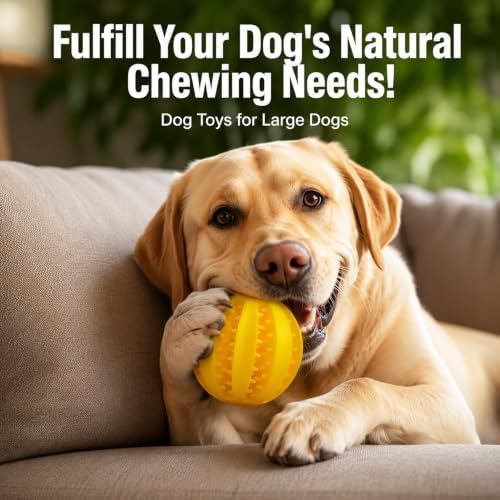 GASHIK Dog Treat Ball for Dogs, Rubber Dental Chew Toy for Dogs
