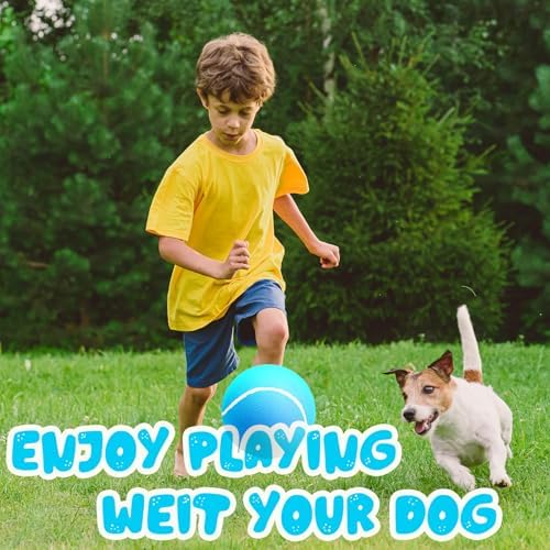 Banfeng Giant Tennis Ball for Dogs, 9.5" Large Outdoor Doy Sport Ball Gift