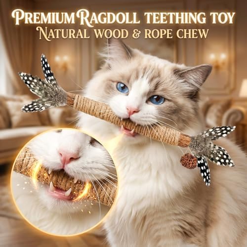 Cat Chew Toys Silvervine Sticks Dental Treat Feather 12Pack Indoor