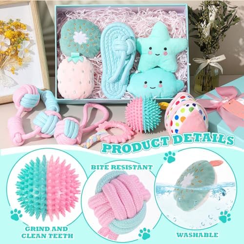 RoundFunny 11 Pcs Dog Birthday Toy Gift for Dog Birthday Cake Puppy Girl Boy Squeak Toys Interactive Puppy Gift with Box for Small Medium Size(Stylish,Mixed Color)