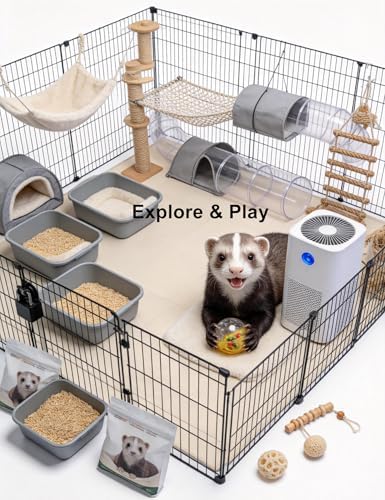 10 Pack Ferret Bell Ball Toys – Bright Interactive Play