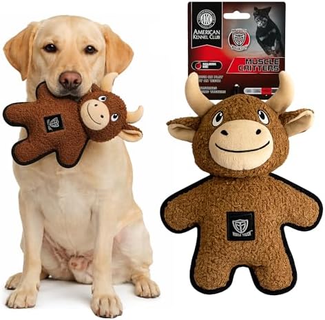 American Kennel Club Plush Dog Toy with Squeaker for Moderate Chewers, Soft Stuffed Dog Toy for Tugging, Fetch & Interactive Play, Gentle on Teeth