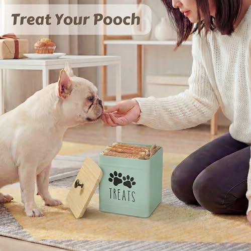PERFNIQUE Dog Treat Container, Airtight Dog Treat Jar, Dog Cookie Jar for kitchen Counter, Pet Treat Container, Dog Food Storage, Treat Jars for Pets, Cat Treat Container, 7.8x6.2 (Mint)