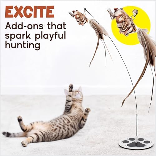Bird Toy for Cats - 5 Pack Natural Feathers Stable Round Base - Interactive Wand Teaser - Self Play Hunting Enrichment - Bored Indoor Adult Feline Activity - Stimulating Kitten Juguetes para Gatos