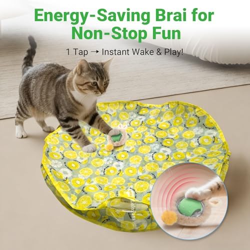 Cat Toys for Indoor Cats, Interactive Cat Toy for Adult Cats