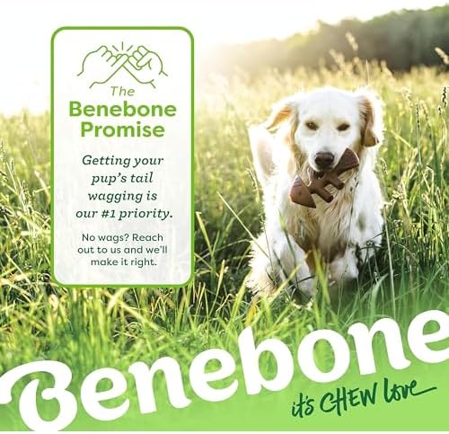 Benebone Fishbone Durable Dog Chew Toy for Aggressive Chewers, Small