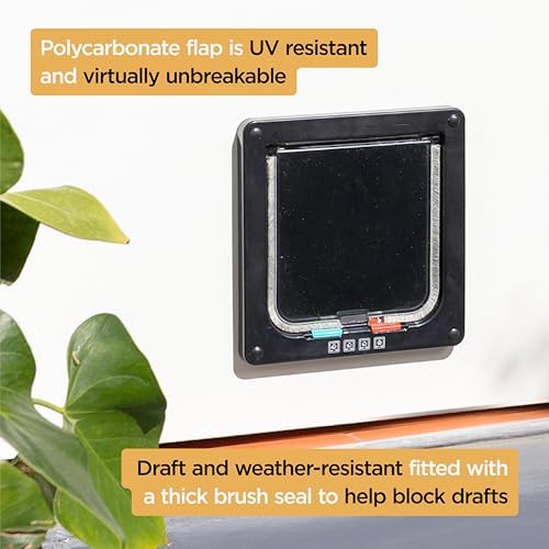 Hakuna Pets Small Pet Door for Doors, Cat Door with 2-Way Locking Flap, Easy Install for Interior & Exterior Doors, Pets up to 11 lbs, Black