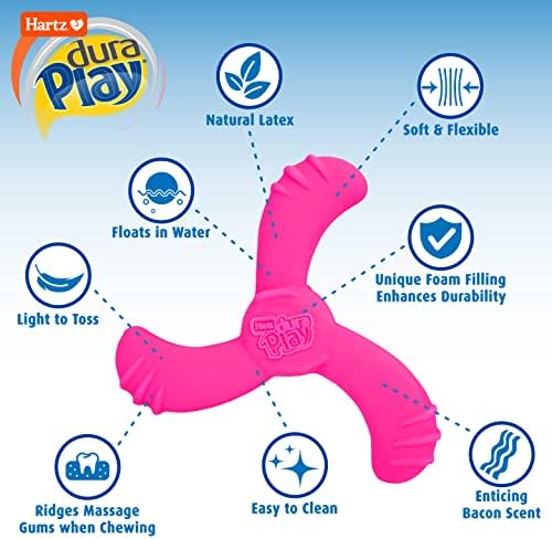 Hartz DuraPlay Bacon Scented Dog Toys, Medium/Large (Colors May Vary) All Breed Sizes (Pack of 2)