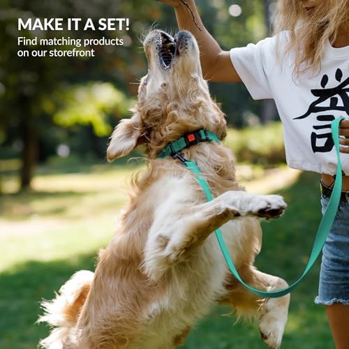 Reflective Dog Collar, Quick-Release Buckle (Mint Green, 18-26 Inch)