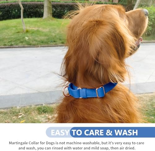 Soft Leather Martingale Dog Collar - Adjustable Rose Gold Limited Slip Collars [Easy to Clean], Stylish Durable Heavy Duty Nylon No Pull Training Collar for Small Medium Large Dogs XS Dark Blue