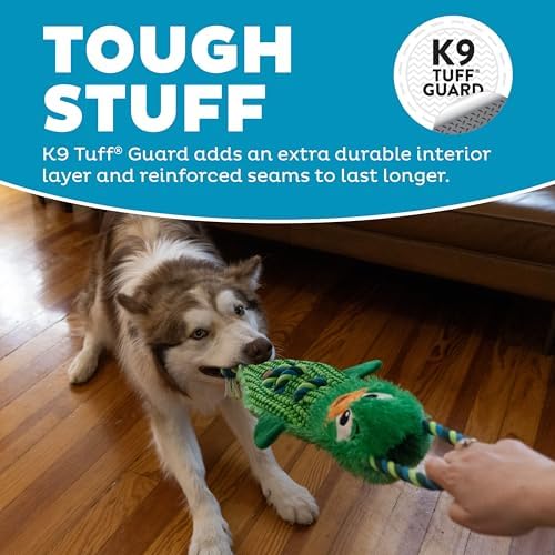Outward Hound Ropiez Rope Interactive Dog Tug Toy for Tugging Squeaky Fun, 23.6 Inch Mallard, Green, Large