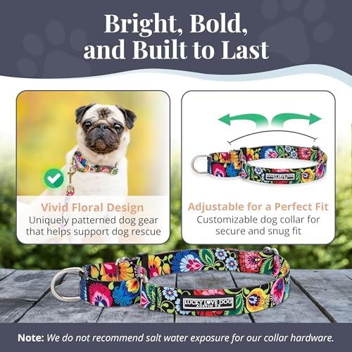 Lucky Love Dog Martingale Collar for Large Dogs No Slip – Blackbird, Large
