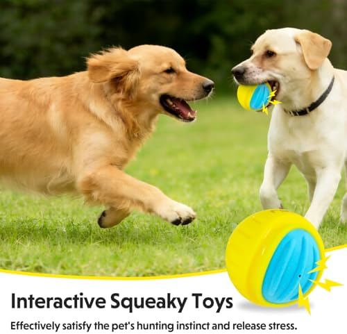 Dog Toy Ball, Indestructible Squeaky Ball for Aggressive Chewers, 3" TPR Rubber Clean Teeth, Relieve Anxiety & Boredom, Interactive Fetch Toy for Medium Large Dogs, Pools &Outdoor Play (Yellow)