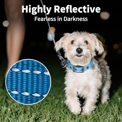 Segarty Reflective Blue Dog Collar for Small Dogs, Adjustable Wide Soft Comfortable Breathable Neoprene Padded Nylon Collar with Heavy Duty Metal Buckle for Puppy Small Breeds (S, Light Blue)