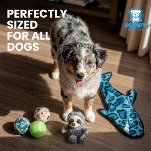 5-Pack Sloth and Shark Dog Squeaky Toys – Interactive Plush Set with 3 Tennis Balls – Durable Enrichment Chew Toys for All Dog Sizes