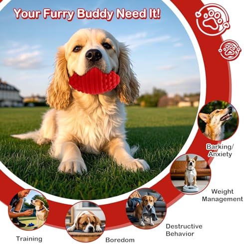 Squeaky Dog Chew Toy, Durable Rubber Fetch Toy for Medium Large Dogs