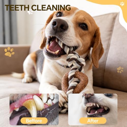 Dog Chew Toys for Aggressive Chewers – Puppies & Adults, Multiple Textures & Rope, ndestructible Tough Durable Interactive Dog Toys, Brown Triangle