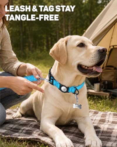 Padded Dog Collar with Waterproof Holder Compatible with Airtag