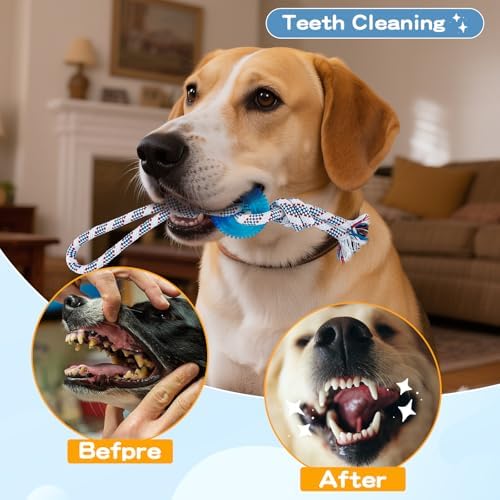 Dog Chew Toys for Aggressive Chewers, Multiple Textures & Rope, ndestructible Tough Durable Interactive Dog Toys, Puppy Chew Toys for Teething，Blue Small Circle