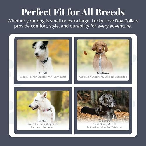 Lucky Love Dog Martingale Collar & Leash Set No Slip Cute – Oscar, Small
