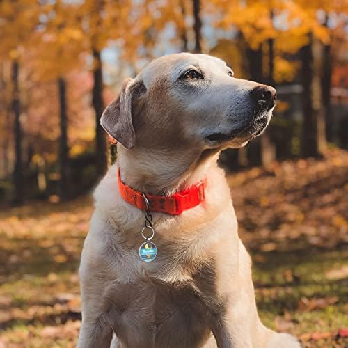 Custom Dog ID Tags, Personalized Pet ID Tags with QR Code, Free Online&Scan QR Receive Instant Location Alert Email