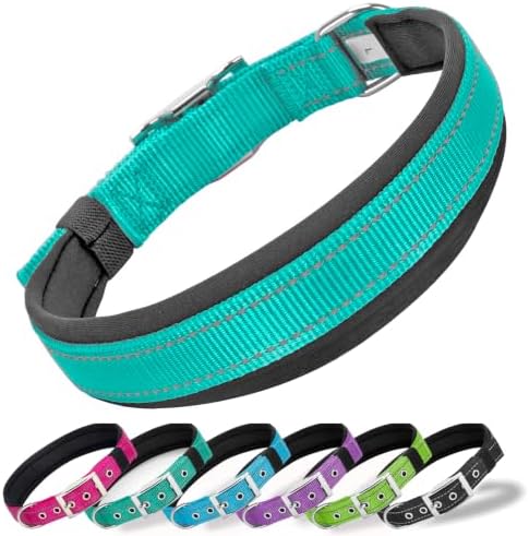 Reflective Dog Collar for Small Dogs Wide Padding 6 Holes Adjusta