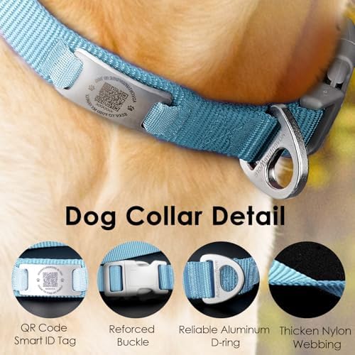 ADVENTUREMORE Smart ID Tag QR Code Nylon Dog Collar - Prevents Small, Medium, Large Dogs from Getting Lost at Night, Displays Owner and Pet Details - Durable, Adjustable, Thick-Teal-Small