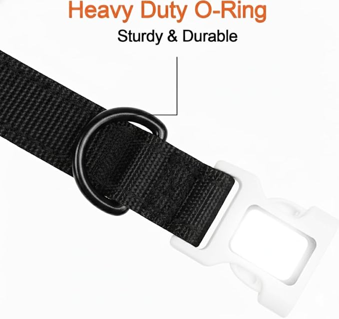 Dog Gone Smart Pet Products Super Bright LED All Day & Night Wear Safety Comet Collar Dogs, Adjustable Breathable Strong Nylon, Puppies, Large, Medium, Small
