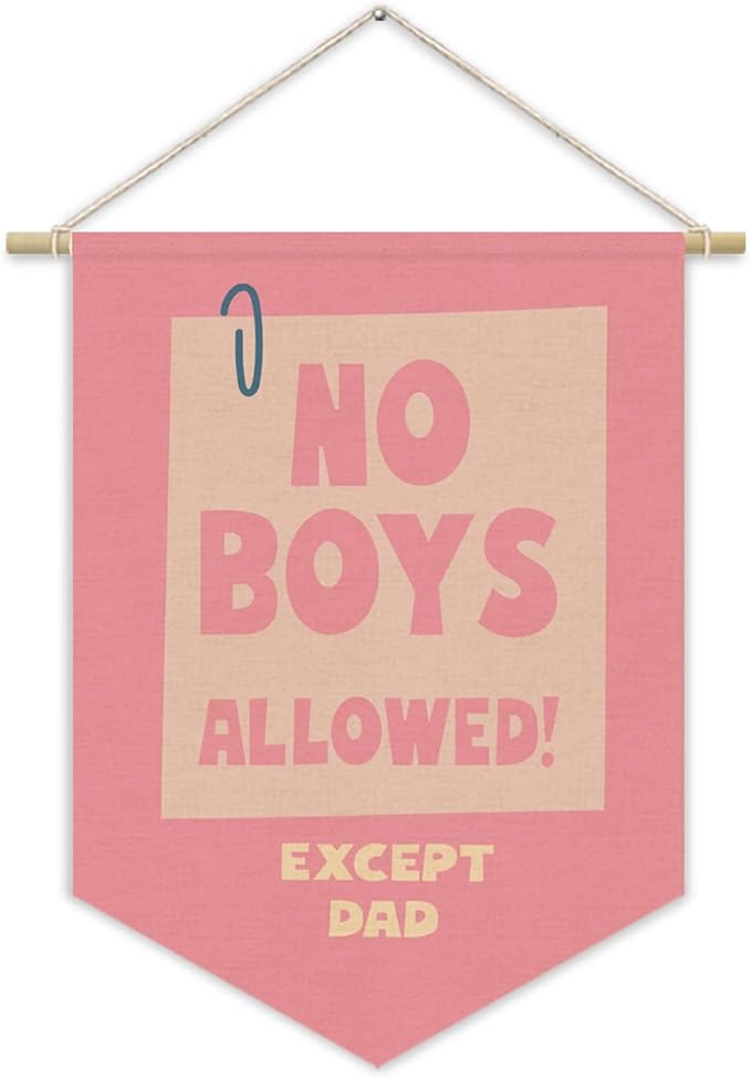 Girls Room Sign Decor Banner,No Boys Allowed Door Sign,Pink Cute Wall Decor for Teen Girls Bedroom Playroom Toddler Little Girl Stuff Wall Hanging Pennant Flag Linen Banner 15x11 Inch