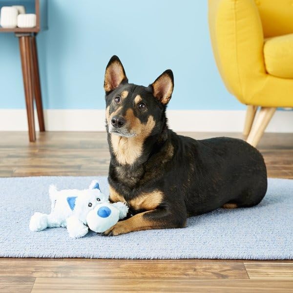 KONG Cozie Plush Dog Toys 2 Pack – Durable & Soft Squeaky Toys for Medium Dogs – Assorted Animal Characters (Ali The Alligator/Baily The Dog)