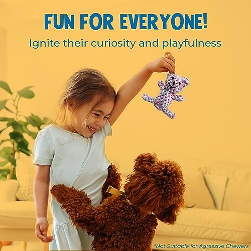 SunGrow Teddy Bear Puppy Teething Toy, Durable Tug and Chew Play for Small & Medium Dogs, Knotted Rope Cotton Design for Teething Comfort, Interactive Training, Active Pet, & Oral Cleaning