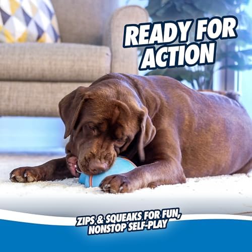 Chuckit! Indoor Super Slider Self-Fetch Squeaky Dog Toy, Durable Rubber