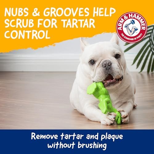 Arm & Hammer Nubbies T-Rex Dog Dental Chew Toy, Mint Flavor, 24-Pack