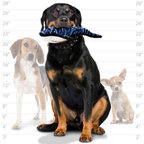 TUFFY® 2 Pack Squid Whale Ultra Durable Plush Dog Toys