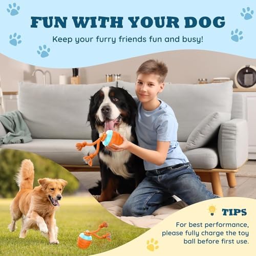 Interactive Dog Toys Chase Busy Buddy Dog Ball