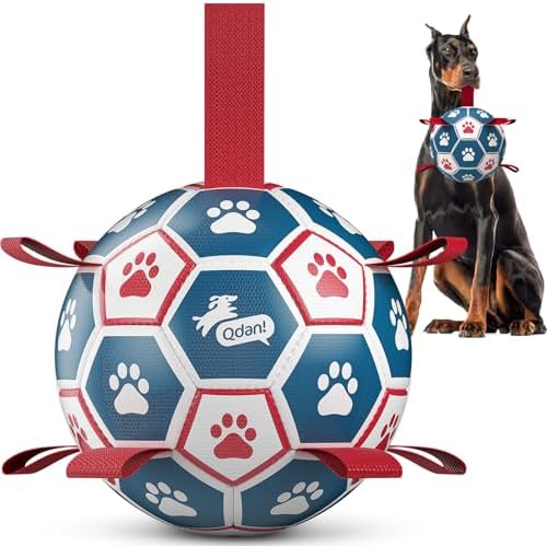 QDAN Large Outdoor Dog Toy, Soccer Ball with Straps, Durable Giant Dog Ball